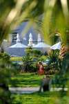 Magic Life Manar Imperial 